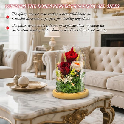 Forever Flowers Preserved Roses Prime Delivery for Women, Glass Dome Light Up Preserved Flowers, Christmas Anniversary Thanksgiving Gifts for Wife Girlfriend Women Best Friend Grandma(Red)