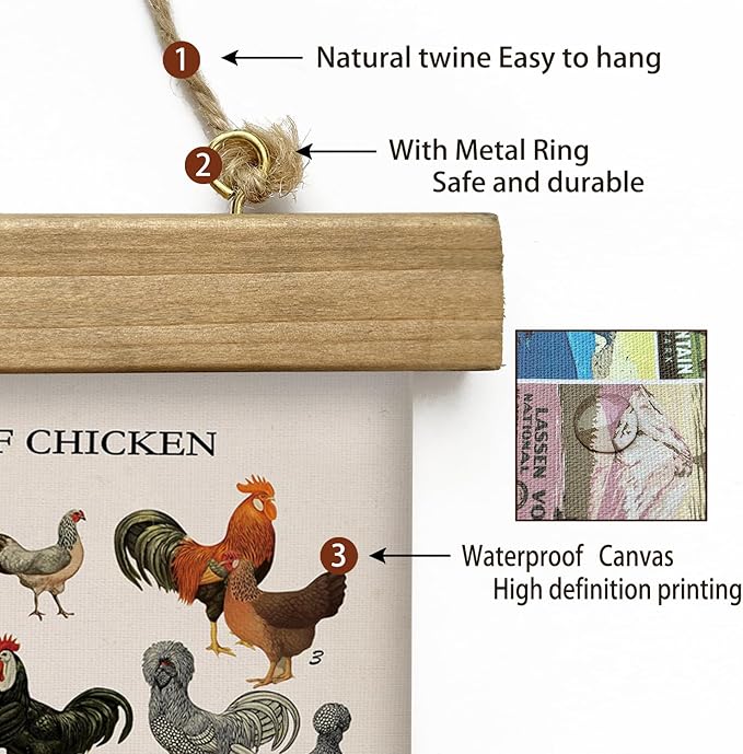 XIAOAIKA Vintage-Inspired Chicken Breeds Art Print - Educational Wall Hanging Poster with Wooden Frame - Rustic Farmhouse Decor, Perfect for Kitchen or Classroom 20 x 30 Inches