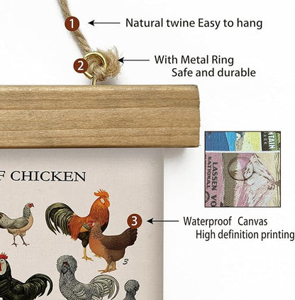 XIAOAIKA Vintage-Inspired Chicken Breeds Art Print - Educational Wall Hanging Poster with Wooden Frame - Rustic Farmhouse Decor, Perfect for Kitchen or Classroom 20 x 30 Inches