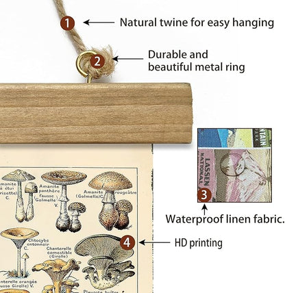 XIAOAIKA Vintage Mushroom Poster with Wooden Frame - Classic Botanical Print with Variety of Fungi Species - Retro Style Wall Art Decor for Kitchen, Living Room, Classroom 20 x 30 Inches