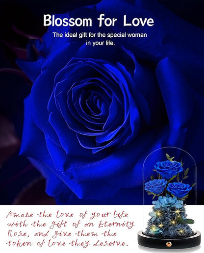 Valentines Day Flowers Roses Gifts for Her,Forever Real Preserved Roses in Glass Dome,Valentines Day Anniversary Birthday Gifts for Wife Girlfriend Women Mom Best Friend Her/Blue Rose