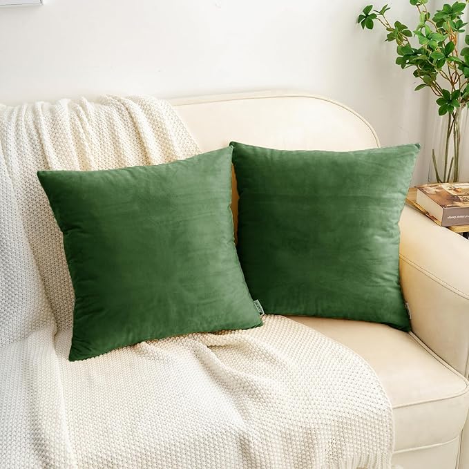 HWY 50 Moss Green Velvet Throw Pillow Covers 16x16 Inch, Pack of 2 Soft Cozy Solid Decorative Luxury Cushion Cases for Couch Sofa Bed Living Room Bedroom