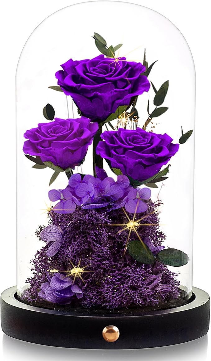 Valentines Day Flowers Roses Gifts for Her,Forever Real Preserved Roses in Glass Dome,Valentines Day Anniversary Birthday Gifts for Wife Girlfriend Women Mom Best Friend Her/Purple Rose