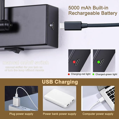 Battery Operated Picture Light with Remote 16” Black Art Light for Painting Dimmable & Timer Wireless Gallery Lights 3CCT Frame lighting Rechargeable Wall Lights for Artwork Potrait Dartboard