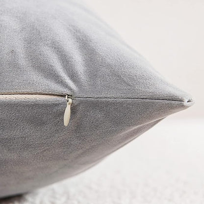 Decorative Pillow Cases 20x20 Light-Grey: 2 Pack Cozy Soft Velvet Square Throw Pillow Covers for Farmhouse Home Decor