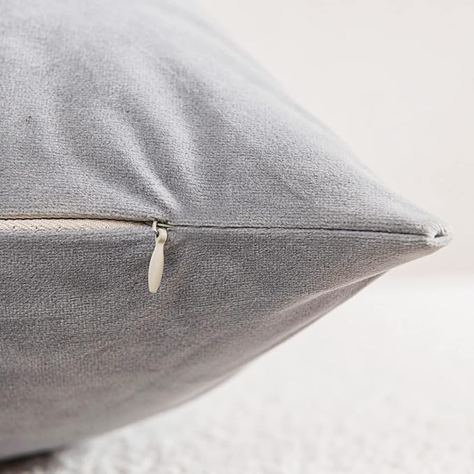 Decorative Pillow Cases 22x22 Light-Grey: 2 Pack Cozy Soft Velvet Square Throw Pillow Covers for Farmhouse Home Decor