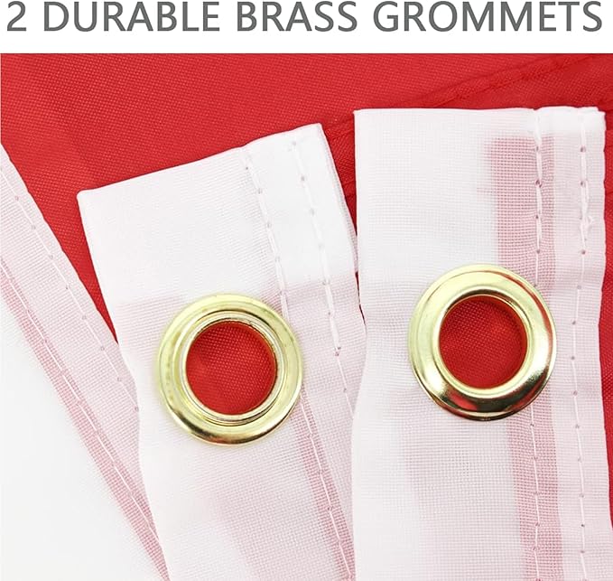 Solid Red Flags 3x5 Ft Blank Red Vivid Color Double Stitched Plain Flag with Brass Grommets