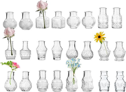 Clear Glass Bud Vase Cute Mini Vases 24Pcs EylKoi Flowers Vintage Small Glass Tiny in Bulk Different Shape Modern Set Lovely for Decor Table Wedding Home Table Centerpieces Dinning Party