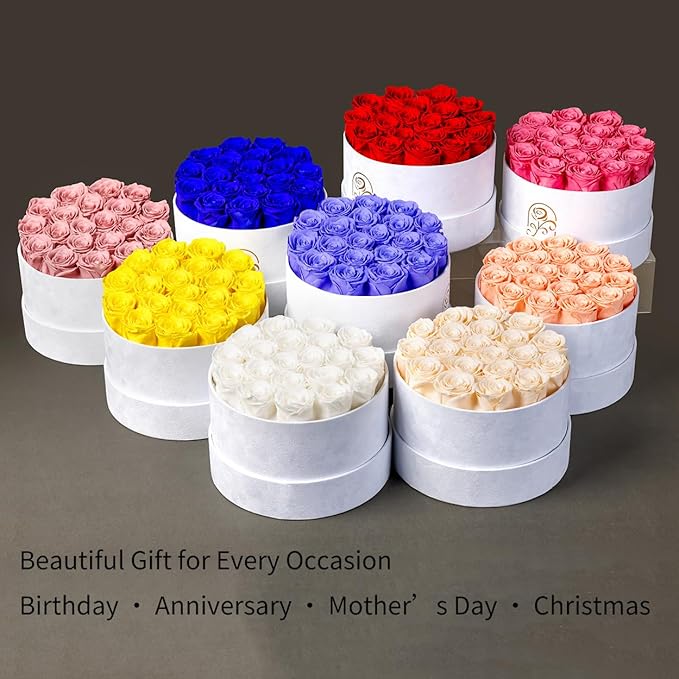 Gifts for Women Preserved Roses Flower Box, Luxury Velvet Box with 20 Roses, Preserved Flowers, Romantic Gift for Her, Wife, Girlfriend, Birthday Anniversary Christmas (Light Purple)