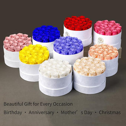 Gifts for Women Preserved Roses Flower Box, Luxury Velvet Box with 20 Roses, Preserved Flowers, Romantic Gift for Her, Wife, Girlfriend, Birthday Anniversary Christmas (Royal Blue)