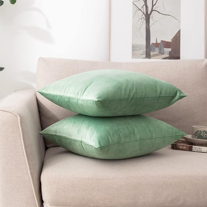 NiNi ALL Decorative Throw Pillow Covers Pack of 2, Velvet Cushion Case for Couch Bedroom Living Room Outdoor, Pillow Covers 24x24 Inch（60 x 60 cm） Sage Green