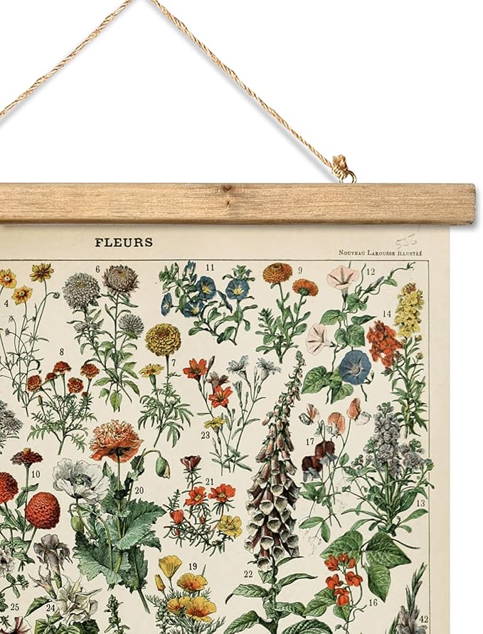 XIAOAIKA Vintage Wildflower Hanging Poster with Wooden Frame, Retro Style Wall Decor Detailed Floral Illustration- Educational Botany Wall Art for Gardeners Home Decor Classroom 12 x 16 Inches