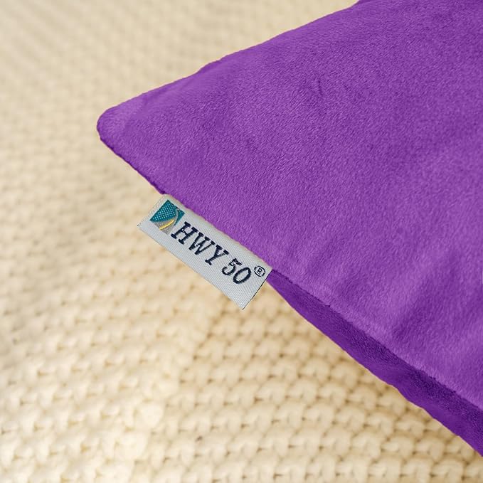 HWY 50 Purple Velvet Rectangular Throw Pillow Covers 12x20 Inch, Pack of 2 Soft Cozy Solid Decorative Luxury Cushion Cases for Couch Sofa Bed Living Room Bedroom
