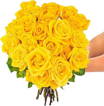 BloomsyBox - Yellow Roses - 24 Long Stems,Long Lasting, Hand-Tied in Eco-friendly,Vase Not Included, Fresh Flowers for Delivery – Gift for Birthday, Anniversary,Congratulations, Wedding