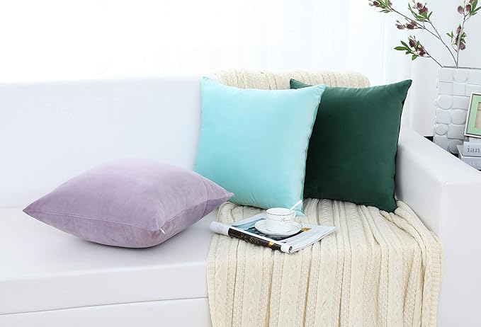 Jeneoo Set of 2 Comfy Soft Velvet Throw Pillow Covers Couch Solid Square Cushion Cases for Home Bedroom Sofa Car Decorative (Coffee Brown, 18 x 18 Inches, 2 Pieces)