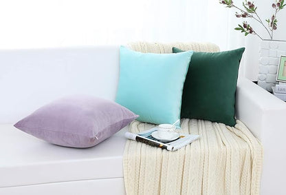 Jeneoo Set of 2 Comfy Soft Velvet Throw Pillow Cases for Sofa Couch, Decorative Solid Square Cushion Covers for Bedroom Car (14 x 14 Inches, Lavender)