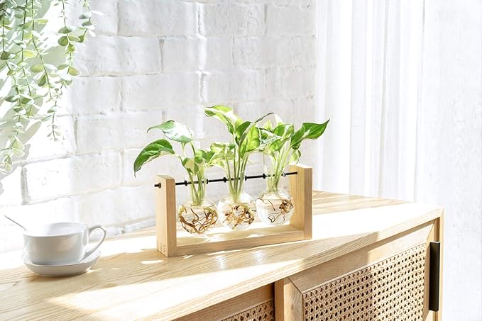 Mkono Plant Terrarium with Wooden Stand, Wall Hanging Glass Planter Desktop Plant Propagation Vase with Metal Swivel Retro Rack for Hydroponics Plants Home Office Decor (3 Bulb Vase)