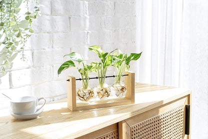 Mkono Plant Terrarium with Wooden Stand, Wall Hanging Glass Planter Desktop Plant Propagation Vase with Metal Swivel Retro Rack for Hydroponics Plants Home Office Decor (3 Bulb Vase)