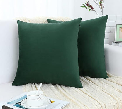 Jeneoo Comfy Decor Velvet Throw Pillow Covers for Home Sofa Livingroom Decorative Square Couch Cushion Cases(Hunter Green, 20 x 20 Inches, 2 Pieces)
