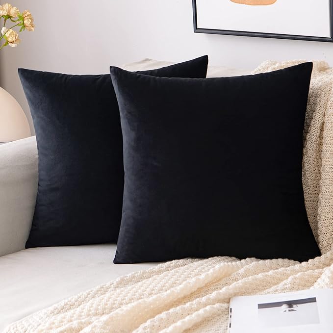 EMEMA Pack of 2 Velvet Throw Pillow Covers Decorative Square Pillowcase Soft Solid Cushion Case for Sofa Bedroom Chair Car 24x24 Inch Black