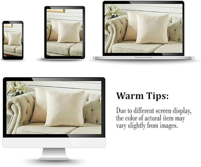 FY FIBER HOUSE Pack of 2 Velvet Throw Pillow Covers Decorative Square Pillowcase Soft Solid Cushion Case for Sofa/Couch Use, 18 x 18 Inch White