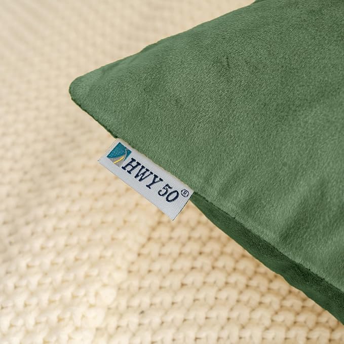HWY 50 Moss Green Velvet Throw Pillow Covers 16x16 Inch, Pack of 2 Soft Cozy Solid Decorative Luxury Cushion Cases for Couch Sofa Bed Living Room Bedroom