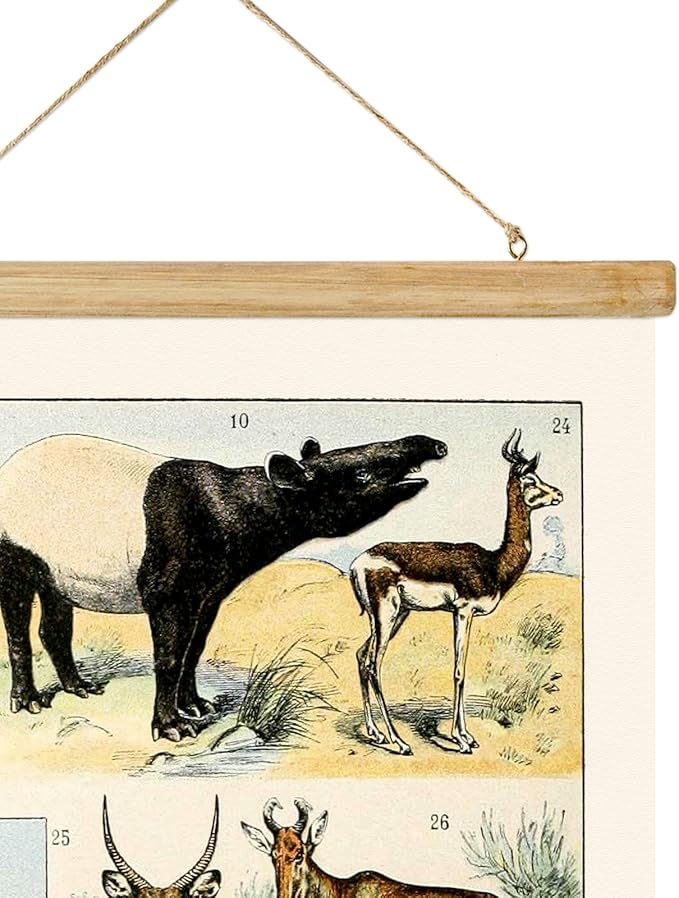 ABoby Vintage Illustrated Wildlife Chart Posters - Educational Animal Wall Art for Schools Homes - Retro Style Painting with Wood Frames