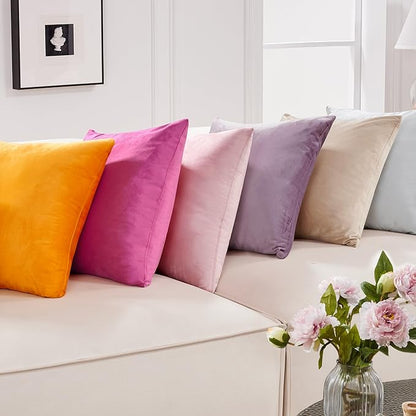 Deconovo Super Soft Decorative Velvet Pillow Covers 18x18 for Home Couch Sofa, Spring Outdoor Pillow Covers Set of 2, Light Grey