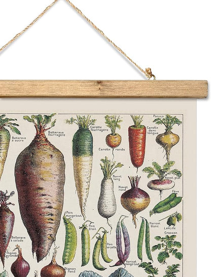XIAOAIKA Vintage Vegetable Varieties Poster - Illustrated Garden Produce Chart with Wooden Frame - Educational Kitchen Wall Decor Art for Home Chefs and Gardeners 16 x 23 inches