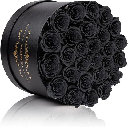 NATROSES 27 Piece Forever Preserved Roses in a Box, Preserved Flowers for Delivery Birthday, Flowers Gifts for Mothers Day, Black