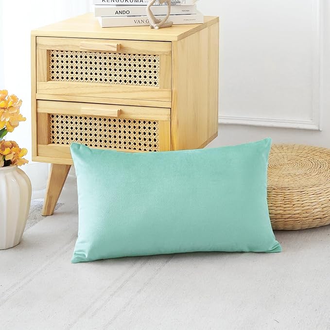 Artscope Luxury Velvet Pillow Covers Decorative Rectangle Pillowcases Soft Solid Cushion Cases for Couch Sofa Bedroom Car Decor 12x20 Inch Aqua Green