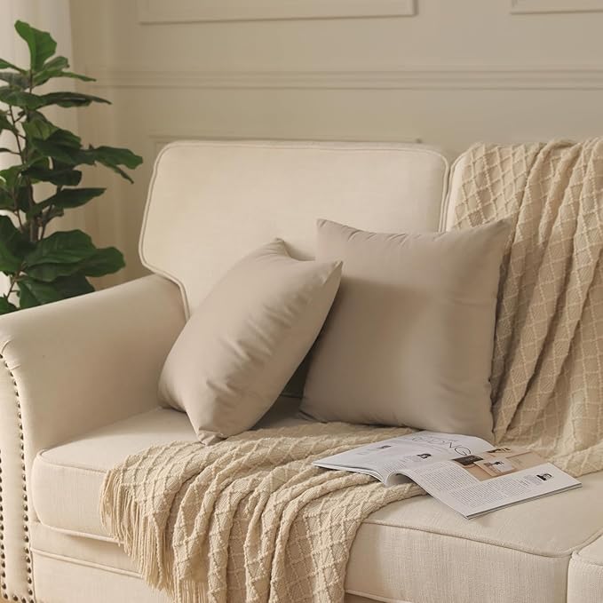 Set of 2 Velvet Throw Pillow Covers for Couch and Bed - 18"x18", Oatmeal