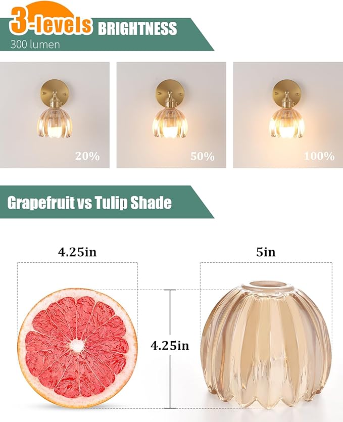Tulip Lamp Shades Replacement, 5" Dia. * 4.25" H Amber Glass Sconce Shade Heavy and Thick for Wall Sconces Pendant Lights Ceiling Lights Chandelier, 2 Pack
