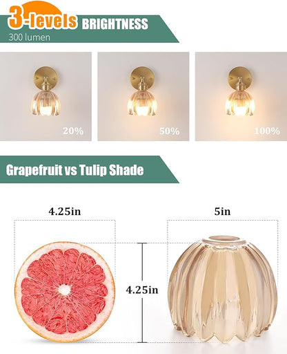 Tulip Lamp Shades Replacement, 5" Dia. * 4.25" H Amber Glass Sconce Shade Heavy and Thick for Wall Sconces Pendant Lights Ceiling Lights Chandelier, 2 Pack