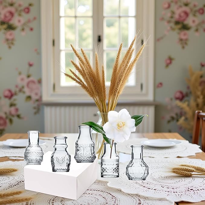 Glass Bud Vase Clear Mini Vases 5Pcs EylKoi Flowers Cute Vintage Small Glass Tiny in Bulk Different Shape Modern Set Lovely for Decor Table Wedding Home Table Centerpieces Dinning Party