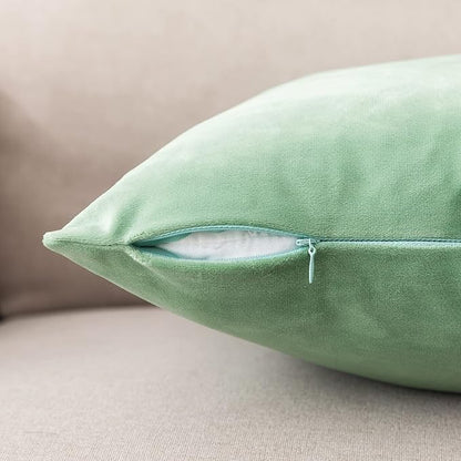 NiNi ALL Decorative Sage Green Throw Pillow Covers Pack of 2 Velvet 14x14 Inch Throw Pillow Cases for Couch Pillows Cover Bedroom Living Room Outdoor Pillows Cover