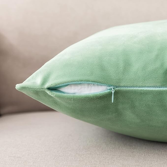 NiNi ALL Decorative Throw Pillow Covers Velvet 22x22 Inch Pack of 2 Sage Green Cushion Covers Soft for Couch Sofa Bedroom Living Room Outdoor