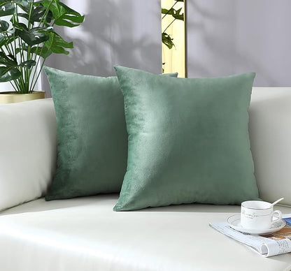 mixeoo Comfy Sage Green Throw Pillow Covers Decorative Square Solid Thick Velvet Super Soft Couch Cushion Cases for Bedroom Sofa Decor, Set of 2, 20 x 20 Inch