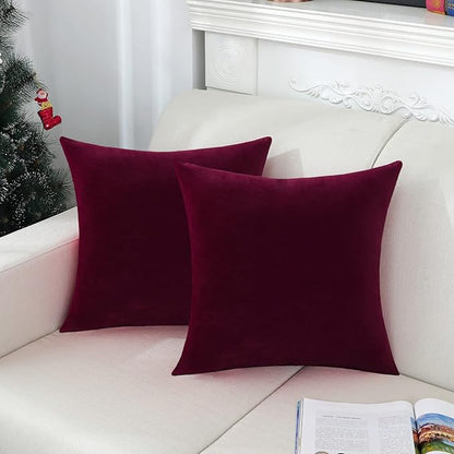 Jeneoo Set of 1 Comfy Accent Soft Velvet Throw Pillow Covers for Sofa Couch, Invisible Zipper Decorative Solid Square Cushion Cases for Livingroom Car (24 x 24 Inches, Burgundy Red)