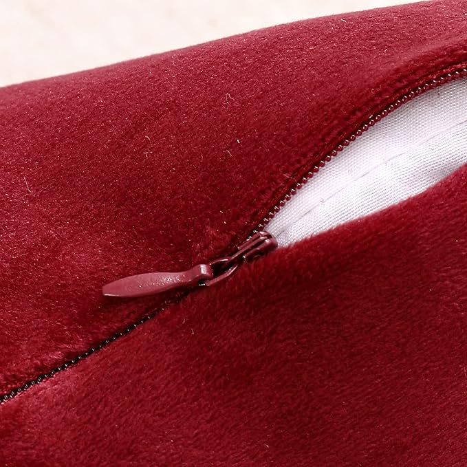 NiNi ALL Decorative Throw Pillow Covers Velvet 16x16 Inch Pack of 2 Burgundy Red Cushion Covers Soft for Couch Sofa Bedroom Living Room Outdoor
