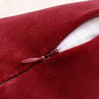 NiNi ALL Decorative Throw Pillow Covers Pack of 2, Velvet Throw Pillow Cases for Couch Pillows Cover Bedroom Living Room Outdoor, Pillow Covers 24x24 Inch Burgundy Red