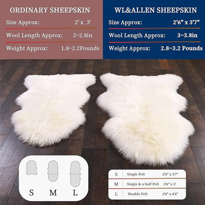 WL&ALLEN Large Sheepskin Rug Genuine Thick and Lush 3 Inch Pile，Luxury Australian Pelts |Large Sheepskin Wool Area Rugs (Single Pelt 2'6" x 3'7",Grey Tip)