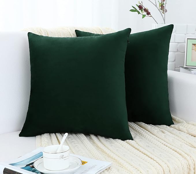 Jeneoo Set of 1 Comfy Accent Soft Velvet Throw Pillow Covers for Sofa Couch, Invisible Zipper Decorative Solid Square Cushion Cases for Livingroom Car (24 x 24 Inches, Army Green)