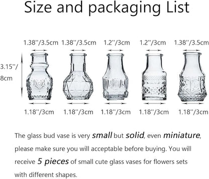 Glass Bud Vase Clear - Mini Vases 5Pcs/Set Bud Vases for Flowers Cute Clear Vintage Small Glass Vases Bud vases in Bulk for Decor, Home Table Centerpieces, Dinning, Wedding