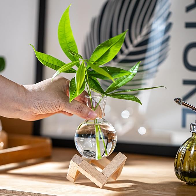 Propagation Stations, Propagation vases with Wooden Stand, Small Tabletop Glass Bulb Vases for Hydroponics Plant Propagation Station Home Office Decoration, Gift for Women Plant Lovers (9)