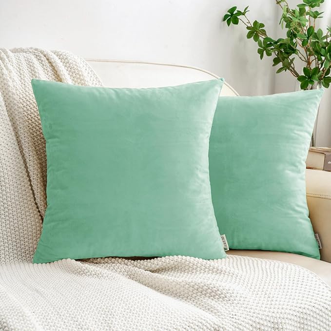 HWY 50 Aqua Green Velvet Throw Pillow Covers 22x22 Inch, Pack of 2 Soft Cozy Solid Decorative Luxury Cushion Cases for Couch Sofa Bed Living Room Bedroom
