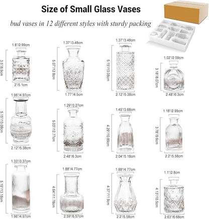 Glass Bud Vases Set of 12, Small Clear Vases for Centerpieces, Mini Glass Vases in Bulk, Vintage Vases Assorted Tiny Flower Vase for Baby Shower Wedding Floral Arrangements Home Table Decorations