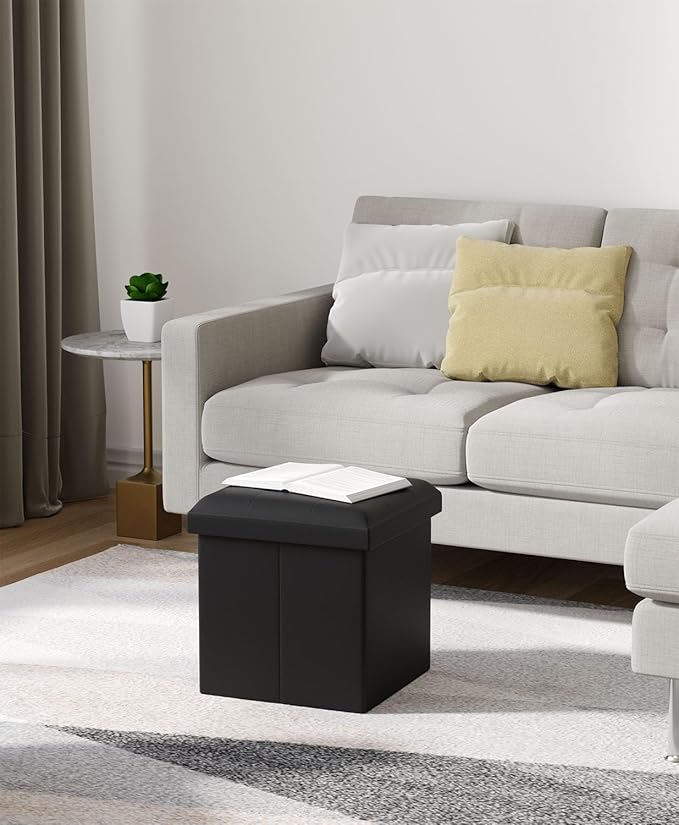 Folding Storage Ottoman Bench, Multi-Functional Ottoman Foot Rest, End of Bed Bench, Storage Chest for Living Room, Bedroom, Hallway, Entryway, Holds Up to 300 lbs (Black, 15 Inches)