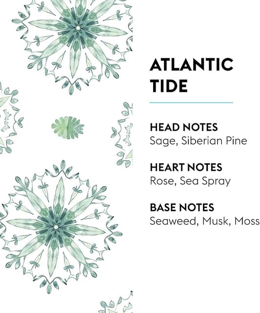 Atlantic Tide | Lampe Berger Fragrance Refill by Maison Berger | for Home Fragrance Oil Diffuser | Purifying and perfuming Your Home | 16.9 Fluid Ounces - 500 milliliters | Made in France
