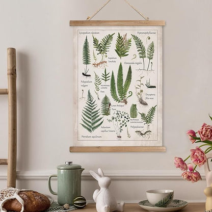 XIAOAIKA Botanical Fern Varieties Poster - Vintage Illustrated Guide with Wooden Frame - Educational Plant Wall Art for Home, Office, or Classroom Decor 12 x 16 Inches
